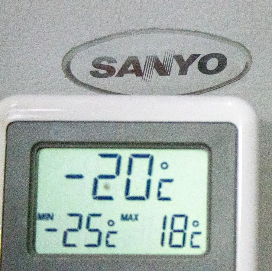 Sanyo HF-5017 Undercounter Lab Freezer -20C