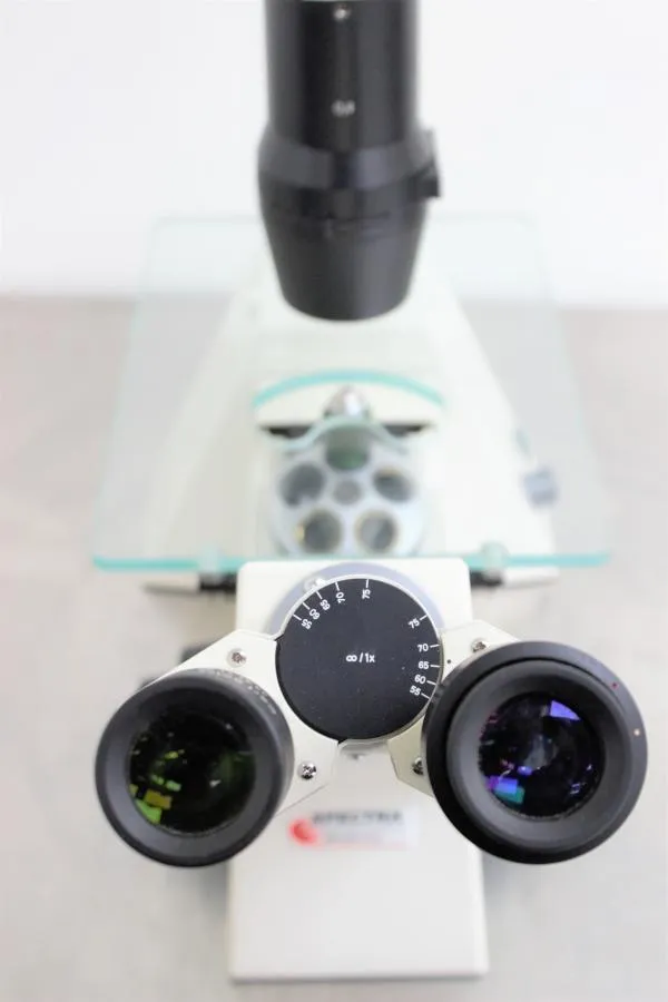 Zeiss Axiovert 25 Microscope