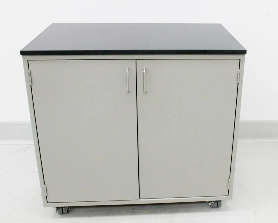 Mobile Work-Height Storage Cabinet Double Door Steel