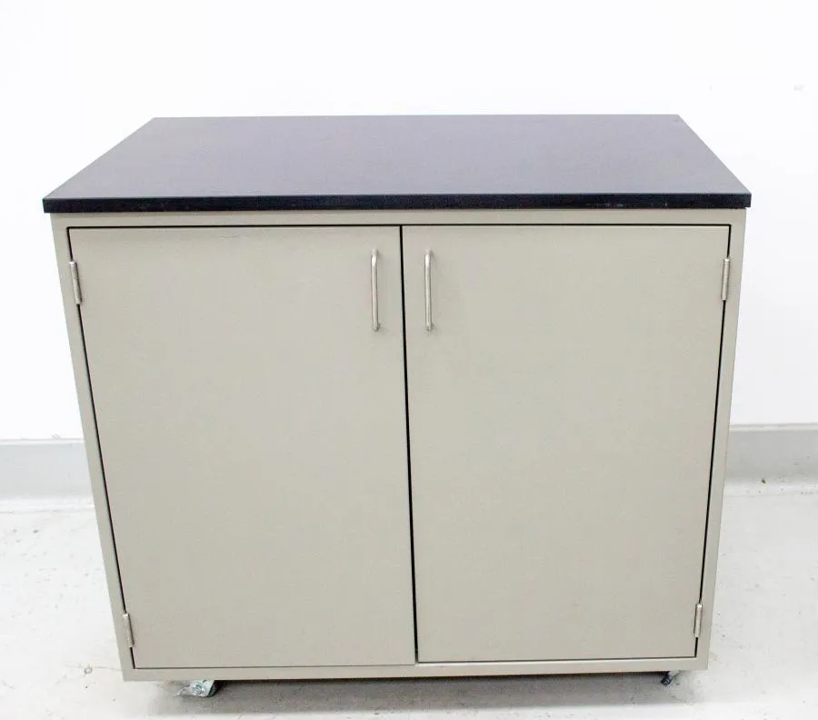 Fisher Hamilton Mobile Work-Height Storage Cabinet Double Door Steel