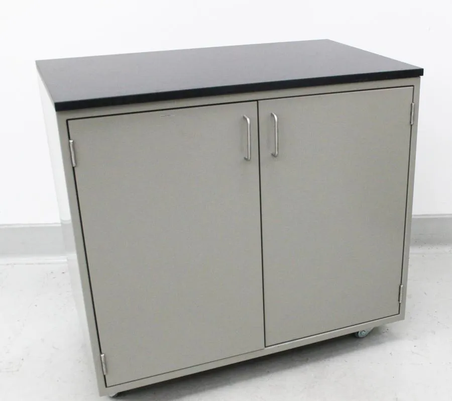 Fisher Hamilton Mobile Work-Height Storage Cabinet Double Door Steel