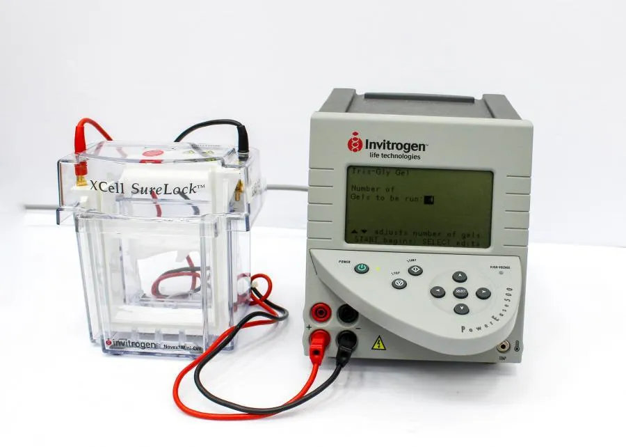 Invitrogen  PowerEase 500 and Xcell SureLock Electrophoresis Cell system