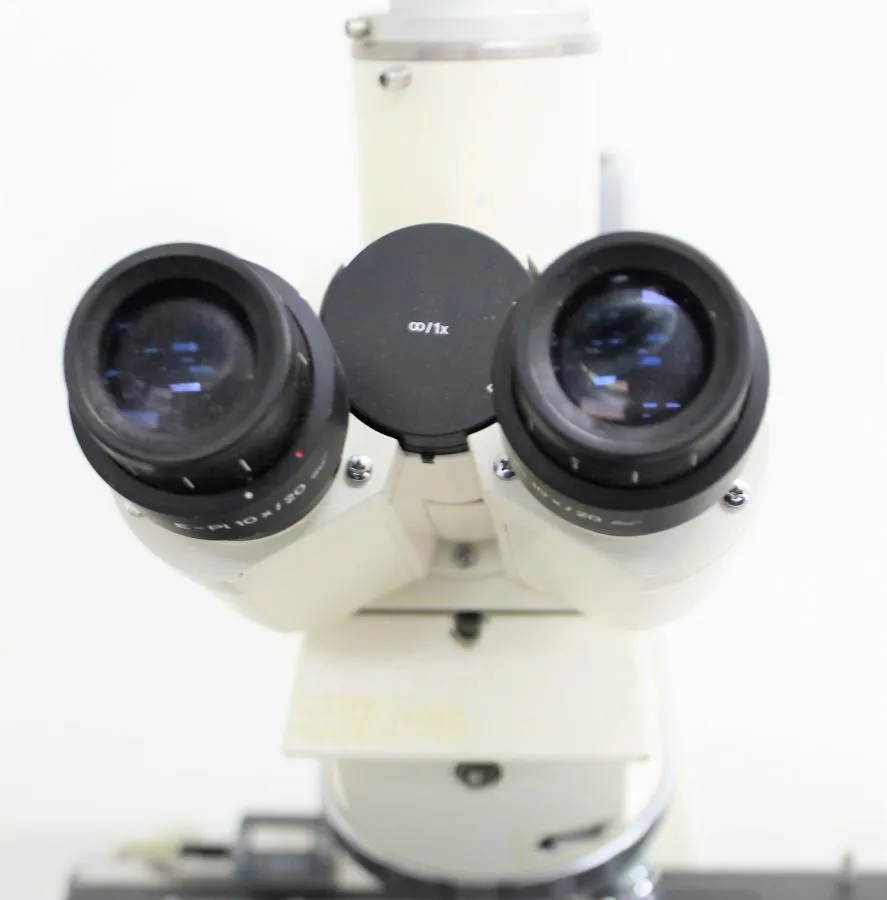 Zeiss Axioskop Microscope w/ Camera EL-Einsatz 45 14 87